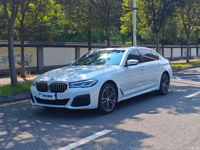 2022 BMW 5 Series 530Li Leading M Sport Package, фото 1, лот 11192798
