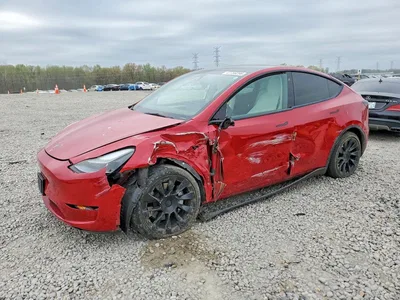 2023 TESLA MODEL Y, фото 1, лот 10851019