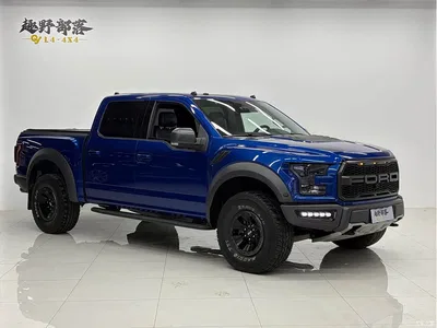 2018 Ford F-150 Raptor 3.5T Raptor Performance Edition, фото 3, лот 10279693