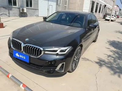 2021 BMW 5 Series 530Li Leading Luxury Package, фото 1, лот 10479009