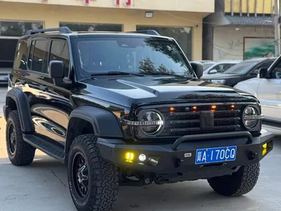 2023 Tank 300 Off-Road Edition 2.0T Conqueror, фото 2, лот 11415263