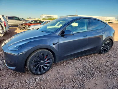 2023 TESLA MODEL Y, фото 1, лот 11575476