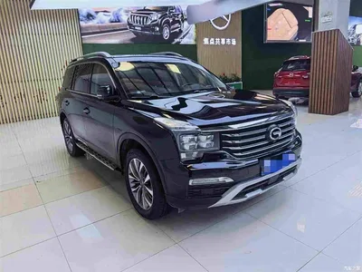 2017 GAC Trumpchi Trumpchi GS8 320T 2WD Luxury Smart Connect (7-seater), фото 3, лот 11460792