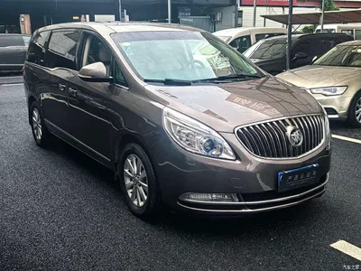 2014 Buick GL8, фото 3, лот 10244706