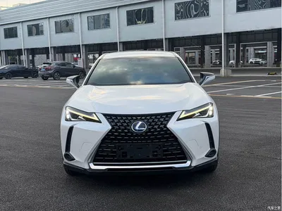 2020 Lexus UX 260h Explore Cool Edition, фото 2, лот 10318614