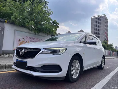 2019 Buick GL6 18T 6-seat Elite China VI, фото 1, лот 10253996