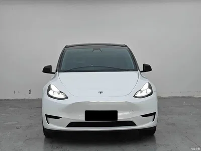 2022 Tesla Model Y Facelift Rear-Wheel Drive Version, фото 2, лот 10452109