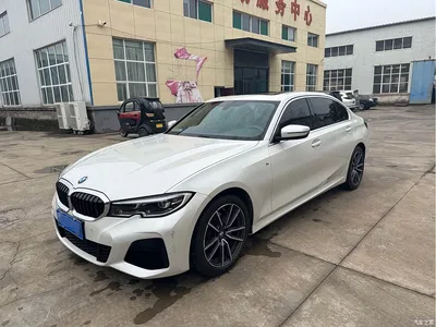 2022 BMW 3 Series 320Li M Sport Package, фото 1, лот 10916960