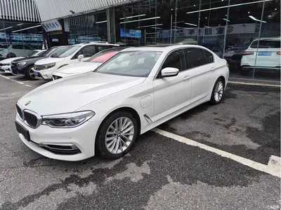 2020 BMW 5 Series New Energy 530Le Pioneer Edition, фото 1, лот 10474079