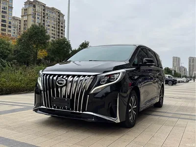 2021 GAC Trumpchi Trumpchi M8 Facelift Leading Series 390T Luxury Edition, фото 1, лот 10416237
