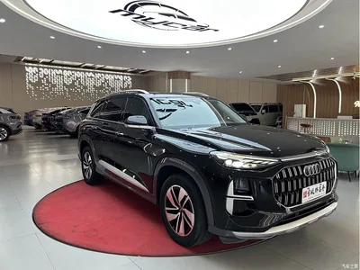 2023 Audi Q6 40 TFSI quattro Cloud View Light Yulin Package, фото 3, лот 10406956