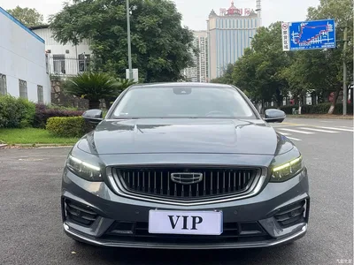 2021 Geely Xing Rui 2.0TD Luxury, фото 2, лот 10690110