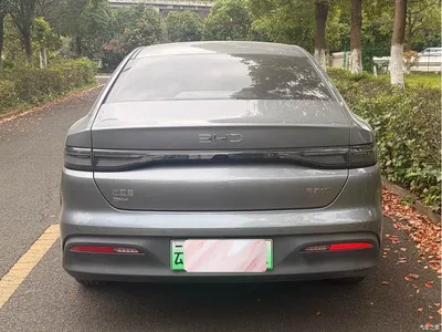 2025 BYD Hai Bao 05 DM-i DM-i Smart Drive Edition 55KM Luxury, фото 3, лот 10817967