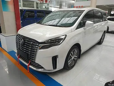 2023 Buick GL8 ES Landmaster Exclusive, фото 2, лот 10259256
