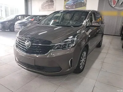 2021 Buick GL8 Land Business Class 652T Premium, фото 1, лот 11210580