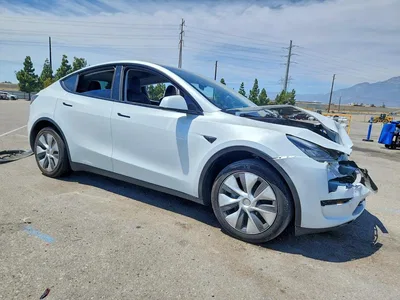 2023 TESLA MODEL Y, фото 4, лот 10854363