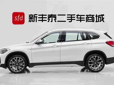 2021 BMW X1 xDrive25Li Exclusive, фото 4, лот 10382144