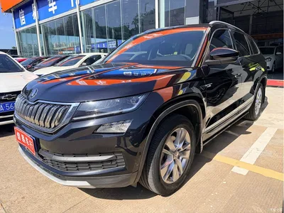 2020 Škoda Kodiaq TSI330 5-Seater 2WD Luxury Premium Edition, фото 1, лот 10348734