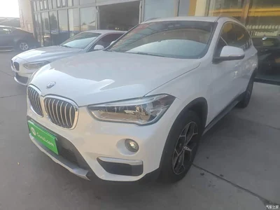 2018 BMW X1 xDrive20Li Premium Model, фото 2, лот 10467290