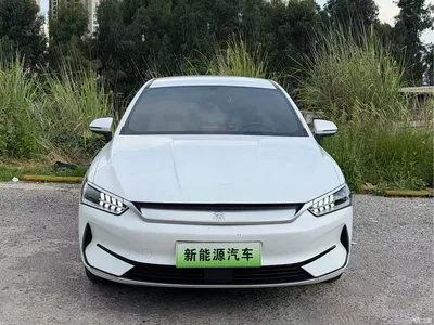 2023 BYD Qin PLUS Champion Edition EV 510KM Leading Type, фото 2, лот 10363593