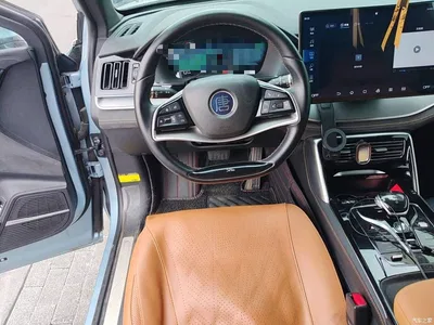 2023 BYD Tang New Energy Model DM-i Champion Edition 112KM Honor, фото 3, лот 11002421