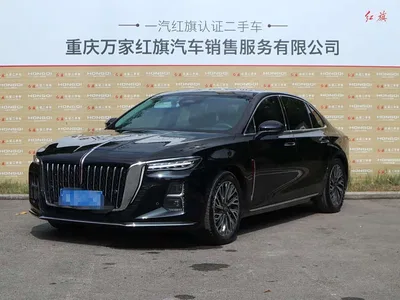 2024 Hongqi H5 2.0T Automatic Smart Connect Flag Smooth Edition, фото 1, лот 10837959