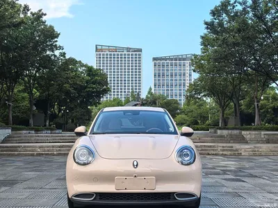 2024 Ora Good Cat 401km Honor 135kW, фото 2, лот 11181161