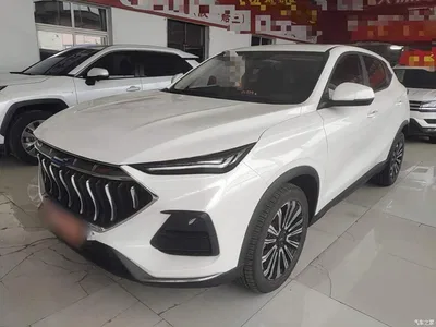 2021 Changan Oshan Changan Oushang X5 Facelift 1.5T DCT Luxury, фото 1, лот 11162707
