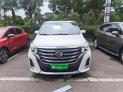 2020 GAC Trumpchi Trumpchi M8 Pilot 390T Flagship Edition, фото 3, лот 10422874