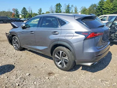 2021 LEXUS NX 300 BASE, фото 2, лот 10900681