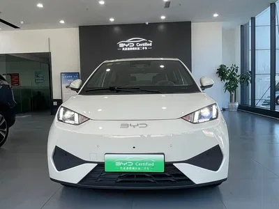 2025 BYD Seagull Smart Drive Edition 305km Freedom Version, фото 2, лот 10254806