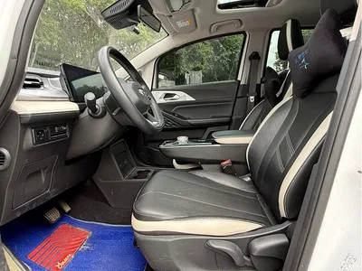 2022 Geely E Firefly 401KM Thunder Tiger 4-Seater, фото 4, лот 11157001