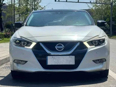2016 Nissan Cima 2.5L XV Ultimate Edition, фото 2, лот 11582896