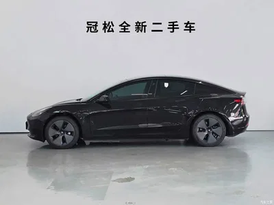 2022 Tesla Model 3 Model Rear-Wheel Drive Version, фото 3, лот 10364565
