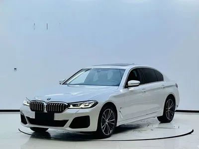 2021 BMW 5 Series 530Li Leading M Sport Package, фото 1, лот 11018277