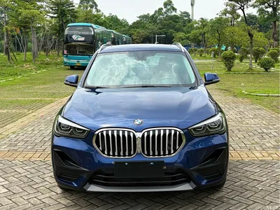 2020 BMW X1 sDrive25Li Leading Model, фото 2, лот 10465798