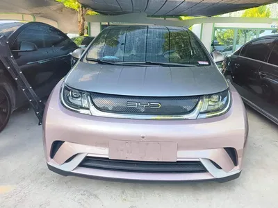 2021 BYD Dolphin Model 405km Fashion Edition, фото 2, лот 10251960