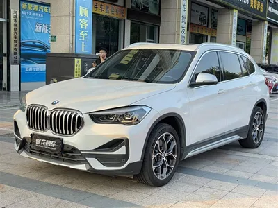 2022 BMW X1 Facelift xDrive25Li Premium Edition, фото 1, лот 11218119