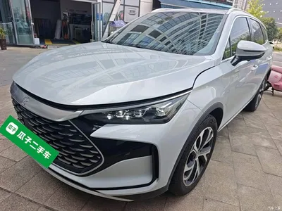2025 BYD Tang New Energy DM-i 115KM Premium, фото 1, лот 10272705