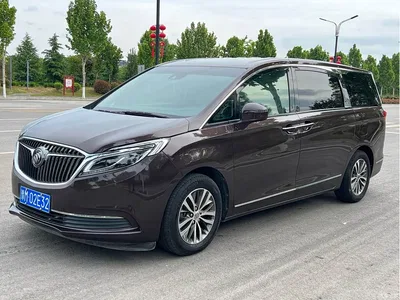2017 Buick GL8 ES 28T Flagship China V, фото 1, лот 11550769