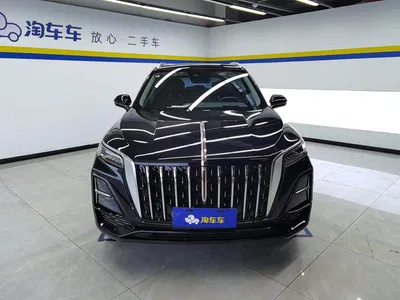 2023 Hongqi HS5 2.0T Flag Enjoy Pro Edition, фото 2, лот 11204847