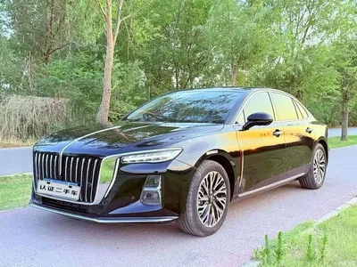 2023 Hongqi H5 2.0T Auto Smart Connect Flag Comfort, фото 1, лот 10288687