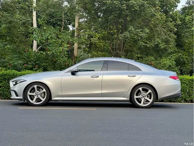 2018 Mercedes-Benz CLS 300 Dynamic, фото 3, лот 10260184