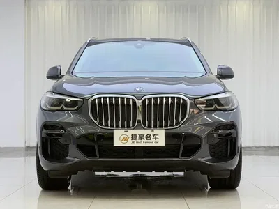2021 BMW X5 (Import) Facelift xDrive30i M Sport Package, фото 2, лот 10232188