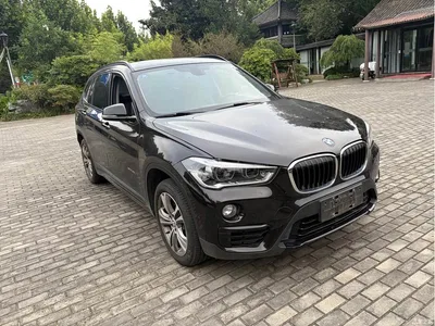 2018 BMW X1 xDrive20Li Premium Model, фото 3, лот 10466033