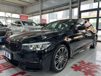 2019 BMW 5 Series 530Li Leading M Sport Package, фото 1, лот 10444738