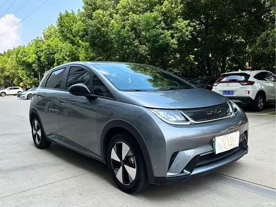 2023 BYD Dolphin 420km Freedom Edition, фото 3, лот 10255787