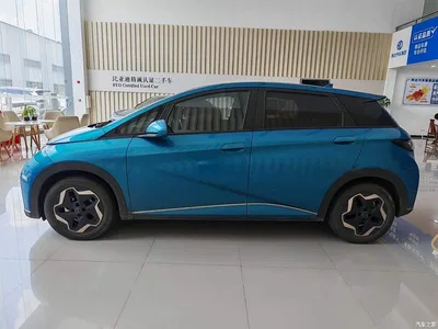 2021 BYD Dolphin 405km Freedom Edition, фото 4, лот 10254222