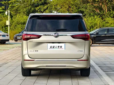 2023 Buick GL8 ES Landmaster Exclusive Harmony Edition, фото 4, лот 10338436