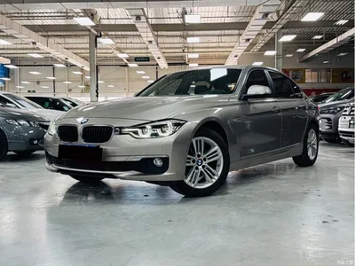 2016 BMW 3 Series 320Li Progressive, фото 1, лот 11530832